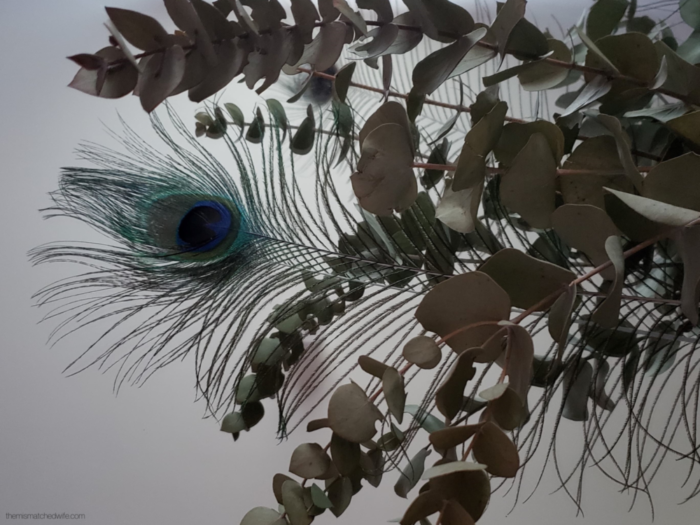 Eucalyptus and Peacock Feathers